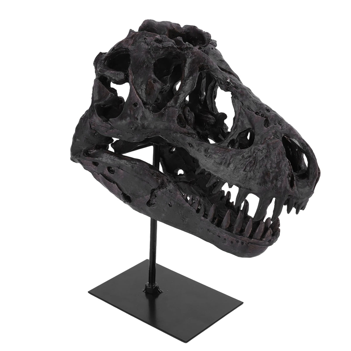 Tyrannosaurus Rex Fossil Skull Replica Resin Home Office Decor