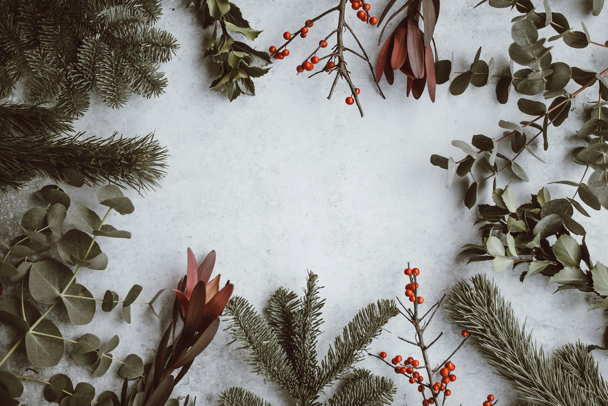 Holiday Deals