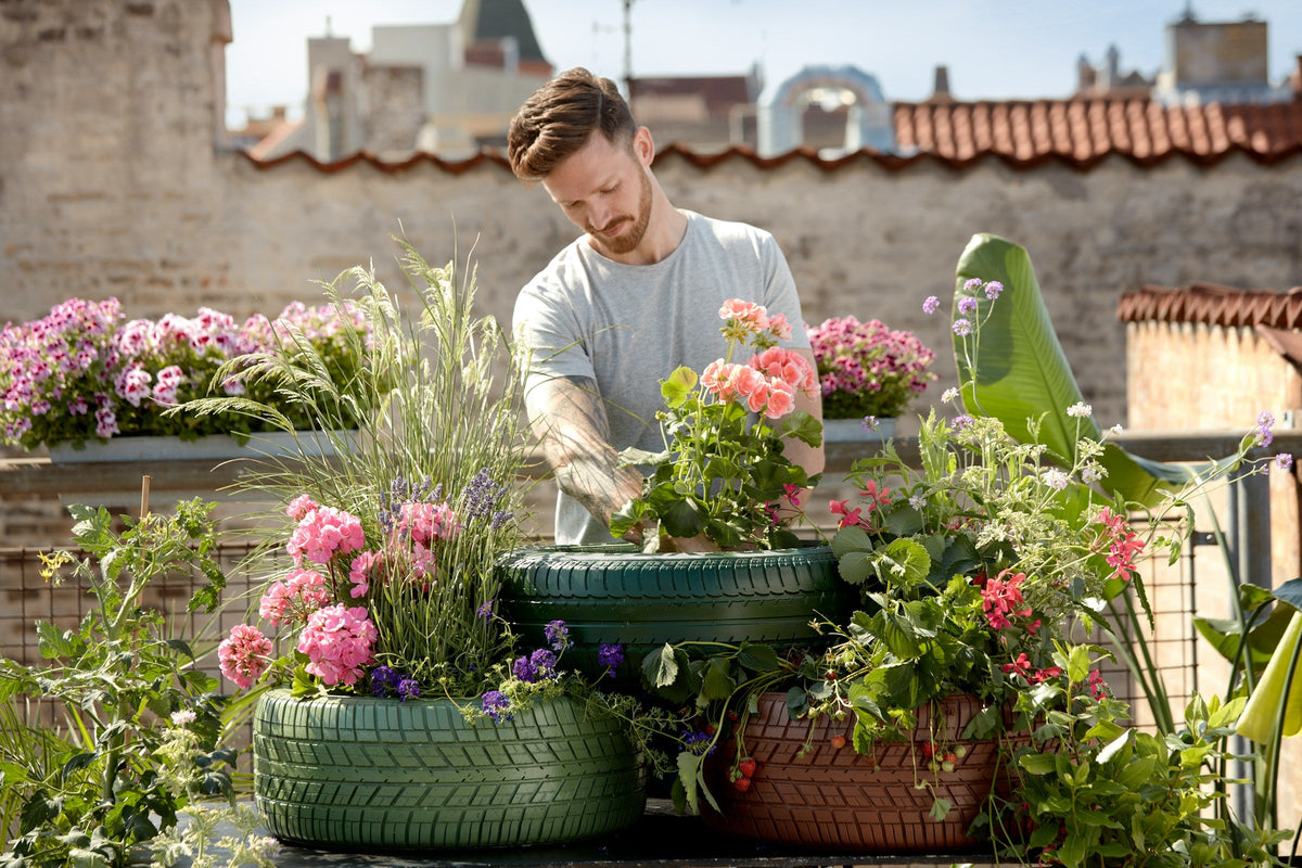 Green Home & Garden