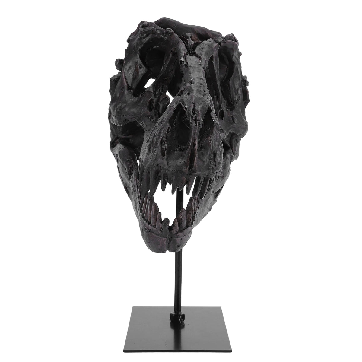Tyrannosaurus Rex Fossil Skull Replica Resin Home Office Decor