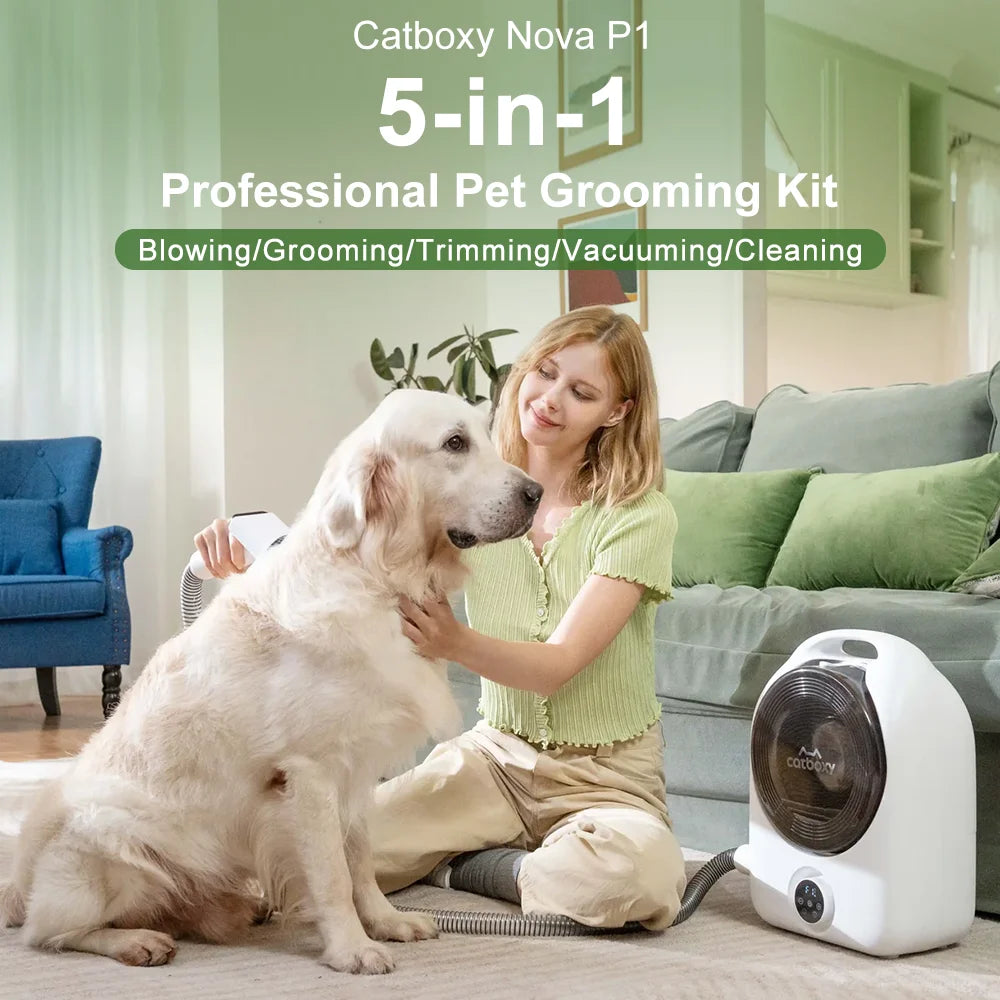 Pet Grooming Vacuum And Dryer With Hair Suction System