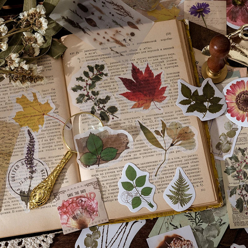 Vintage Mushroom Plant And Butterfly Stickers For Journals And Crafts