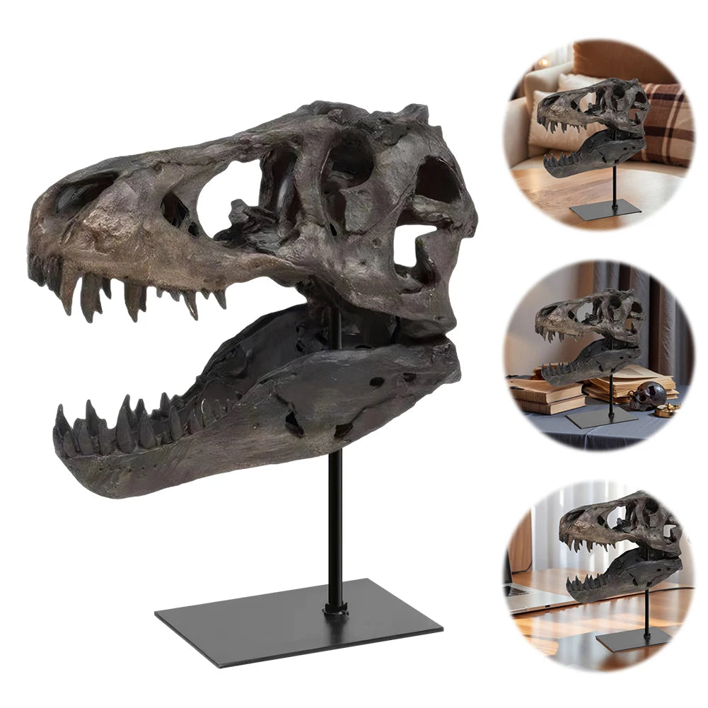 Tyrannosaurus Rex Fossil Skull Replica Resin Home Office Decor