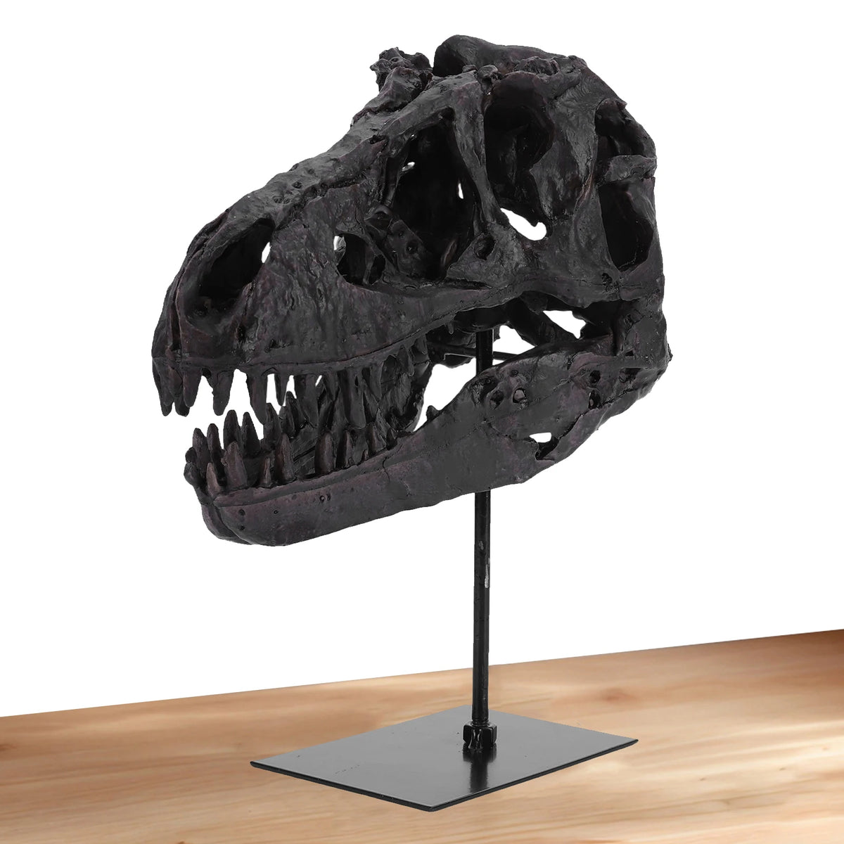Tyrannosaurus Rex Fossil Skull Replica Resin Home Office Decor