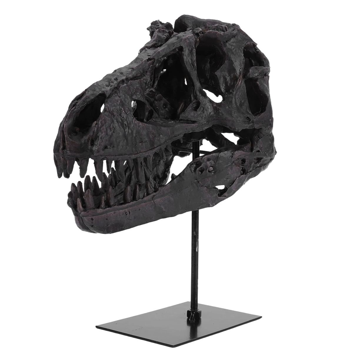 Tyrannosaurus Rex Fossil Skull Replica Resin Home Office Decor